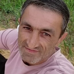 �����, ���������, 44 ����