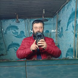 �������, 39 ���, ���������