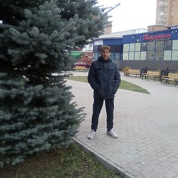 ����, �������� �����������-2, 37 ���