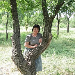 �����, ���������