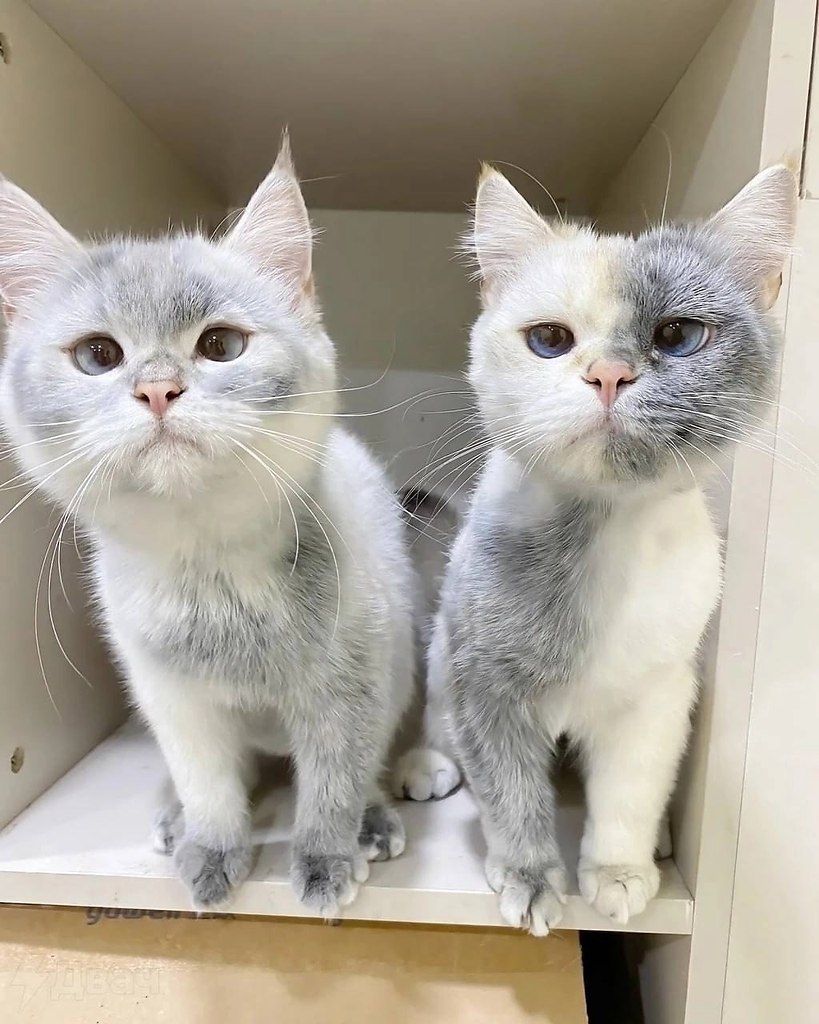 -, -:       ,   , ... - 2