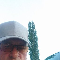 ��������, �������, 54 ����