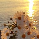 ���� ������, �������, 38 ��� - ��������� 20 ���� 2025 � ������ ���� ����������