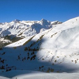 ��������, ������, 61 ���