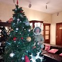 ���� �����, ���������� - ��������� 12 ������ 2024 � ������ ������ ��������
