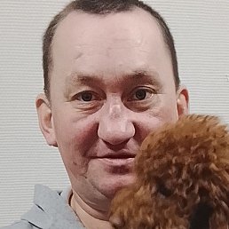 ���������, ������, 41 ���