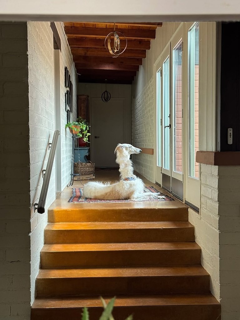  .   ,  -  .  .     . - 3