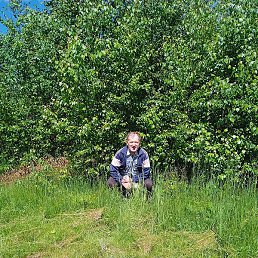 �������, ������, 64 ����