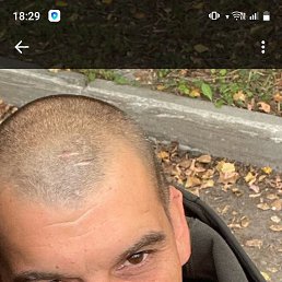 ����, 38 ���, ������