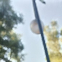 �������, ��������, 36 ���