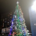 ���� ����, ������, 49 ��� - ��������� 28 ������� 2025 � ������ ���� ����������