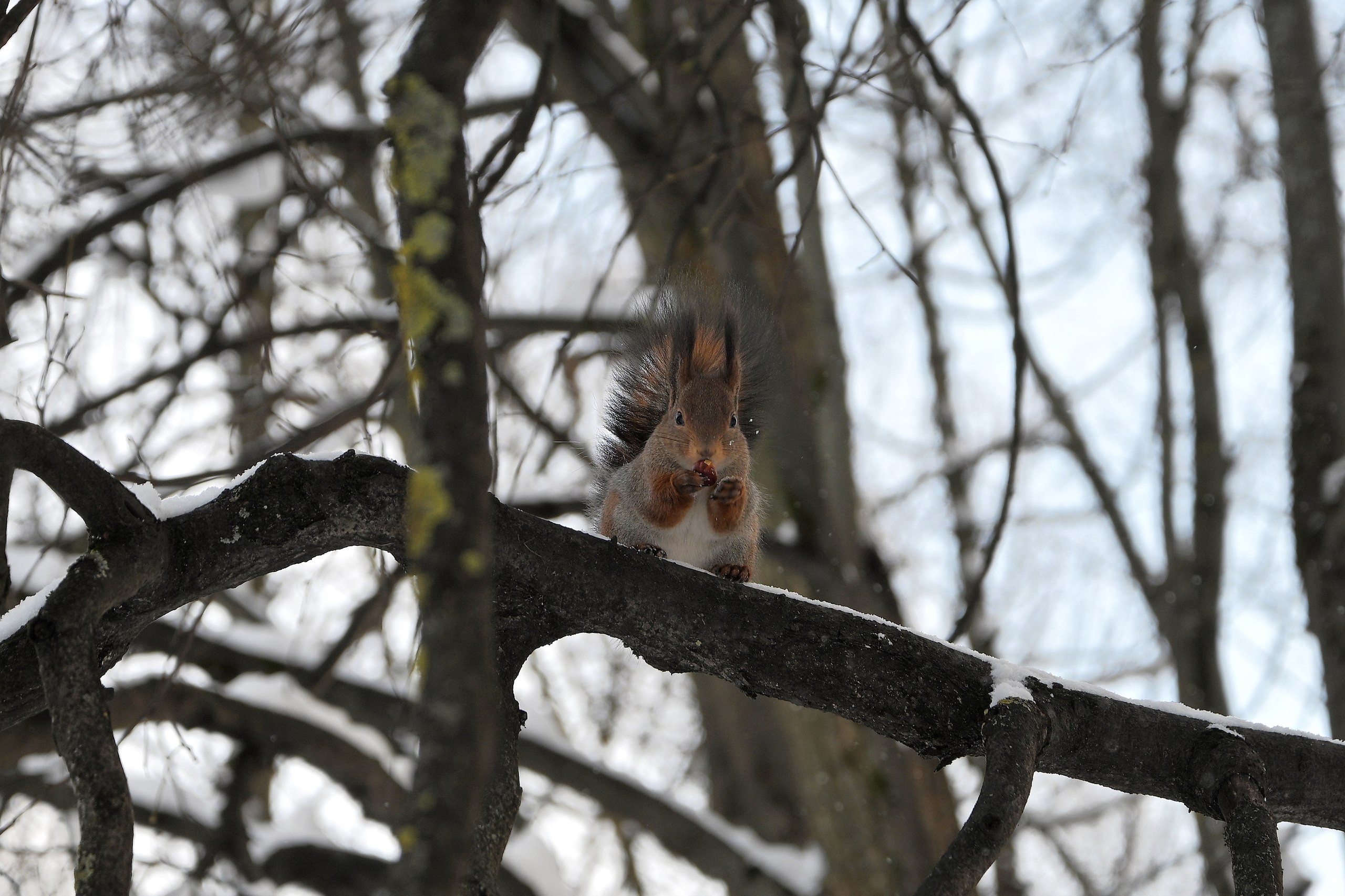 ���-���� �����������.. - 3