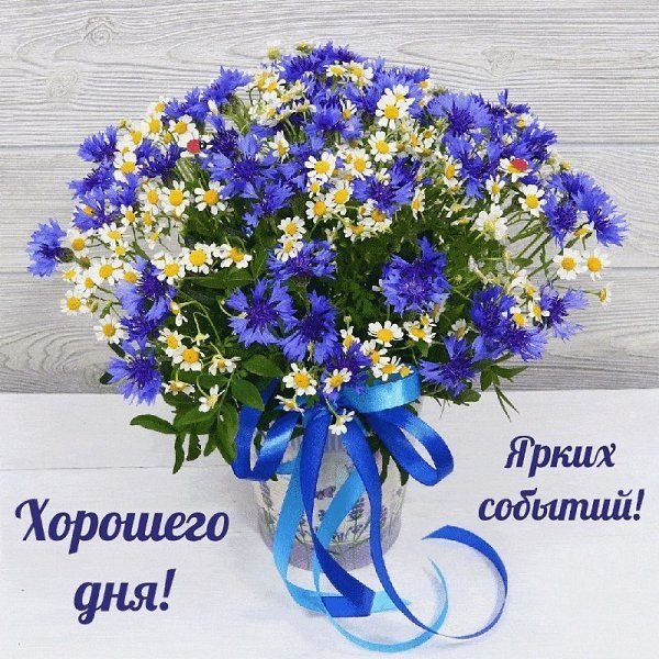   - 1  2025  09:53