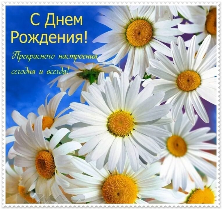   ,    . - 11  2025  12:45 - 3