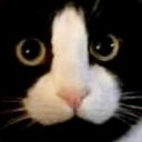 ���� ����, ������-��-���� - ��������� 6 ������� 2024 � ������ ���� ����������