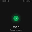 ���� �������� ������, ���������, 50 ��� - ��������� 25 ��� 2024