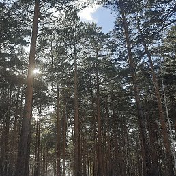 ���� Ninel, ������, 35 ��� - ��������� 25 ������� 2023