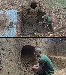 �����������