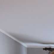 �����, 29 ���, ������