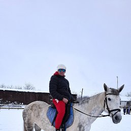 �������, 32 ����, ������