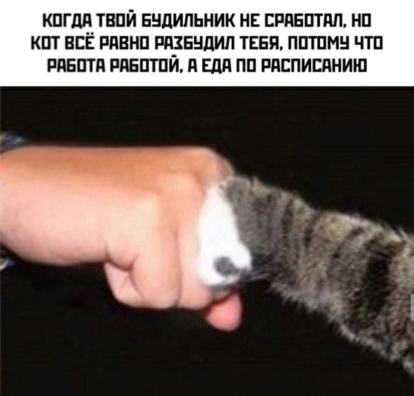 )