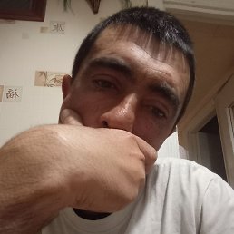 ����, ��������, 40 ���