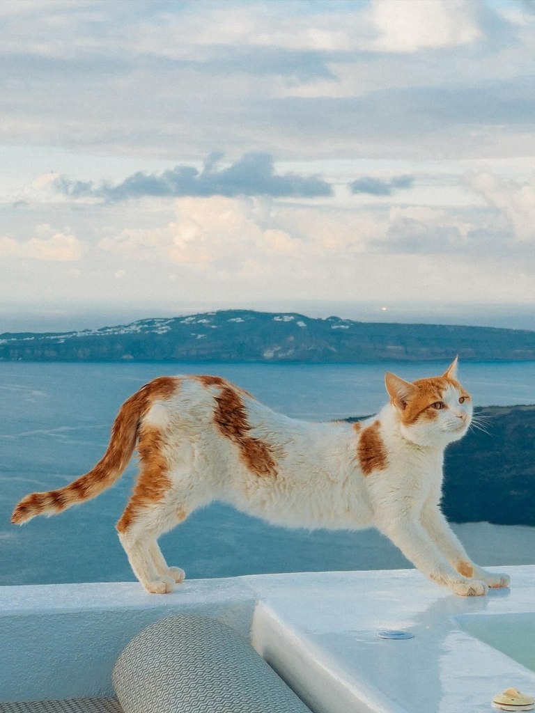 ������ �� ��������� ����� ���� ������ �����