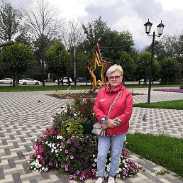 �������, �����-���������, 66 ���