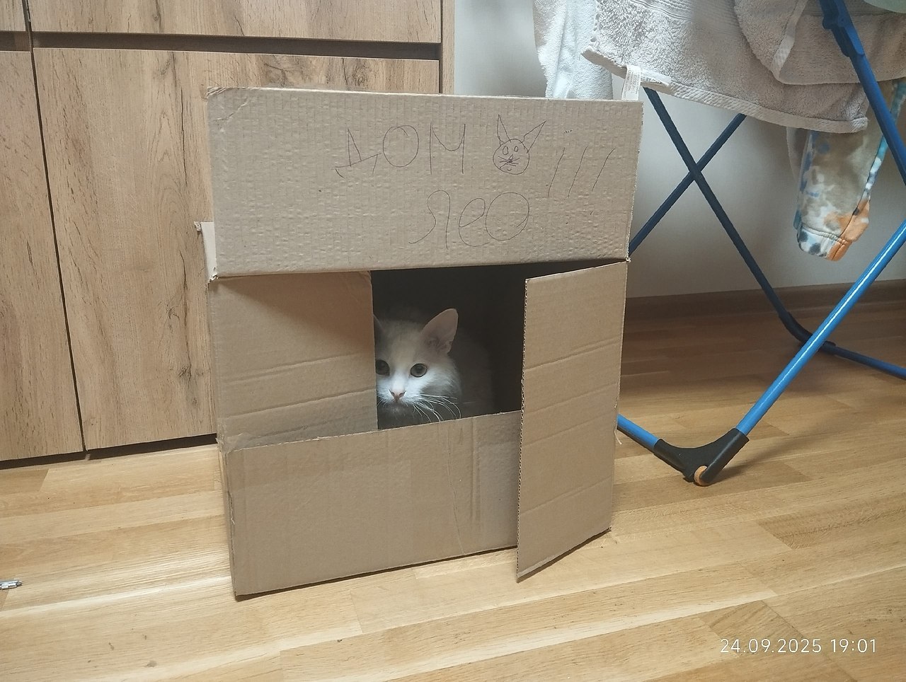    ?