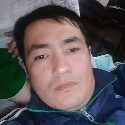 ���������, �����������, 41 ���