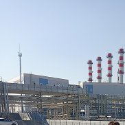 ���������, 44 ����, �����������