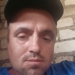 , 30, 