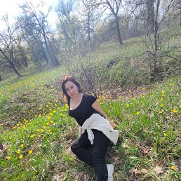 ���� �����, ���������, 41 ��� - ��������� 4 ���� 2025