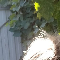 ����, ��������, 47 ���