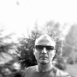 , 46 , 