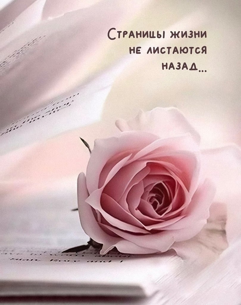 ������ | Wisdom & Beauty - 18 �������� 2025 � 17:55 - 6
