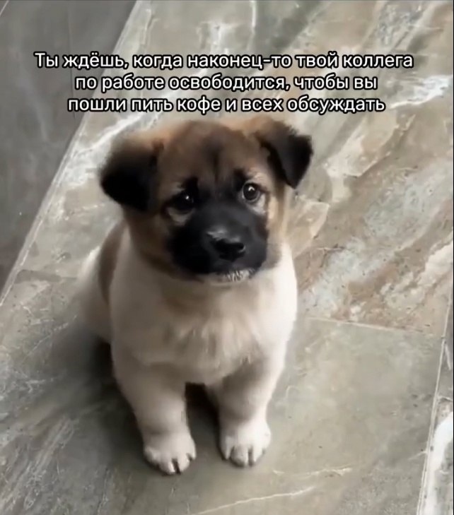 ? - 2