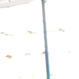 Samir, �������, 41 ���