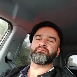 , 36, 