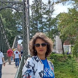 ���� �������, �����-���������, 54 ���� - ��������� 14 ������� 2026