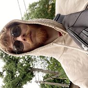 , 35 , --