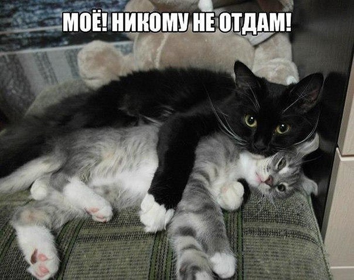 ? ,  ! - 6  2025  16:43