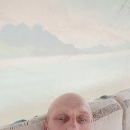 , 43, 