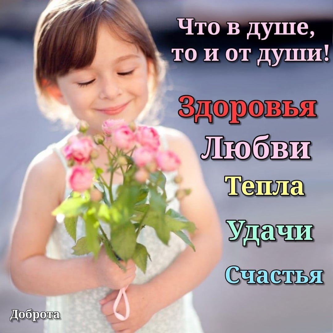  - 24  2024  06:41