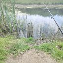   59, , 59  -  5  2025