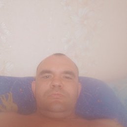 �������, 37 ���, ������