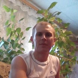 , 41, 