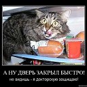 ���� Kriss, ������, 24 ���� - ��������� 14 ��� 2026