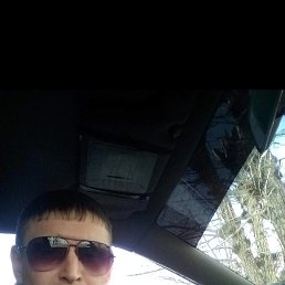 , 37, 