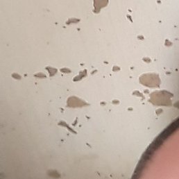 ������, ������ ��������, 55 ���